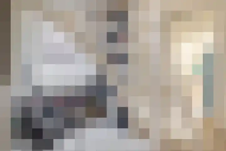 Erasmustuin 14 Capelle aan den IJssel thumbnail 21