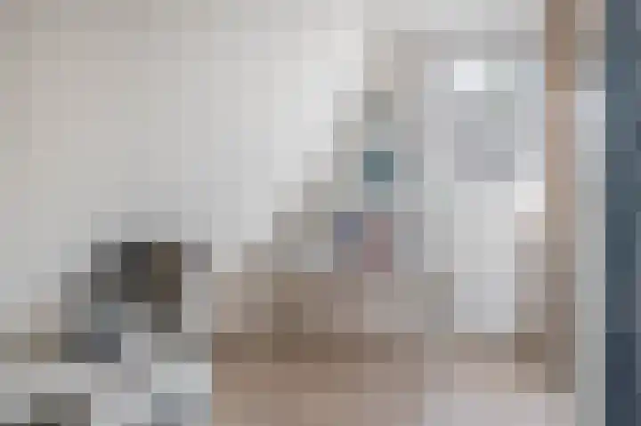 Erasmustuin 14 Capelle aan den IJssel thumbnail 22
