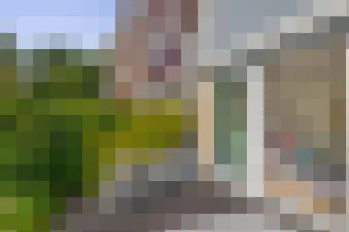Erasmustuin 14 Capelle aan den IJssel thumbnail 28