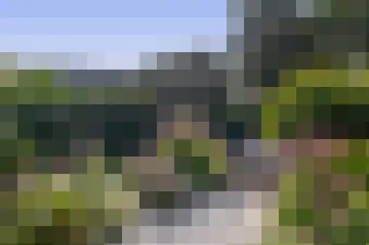 Erasmustuin 14 Capelle aan den IJssel thumbnail 29