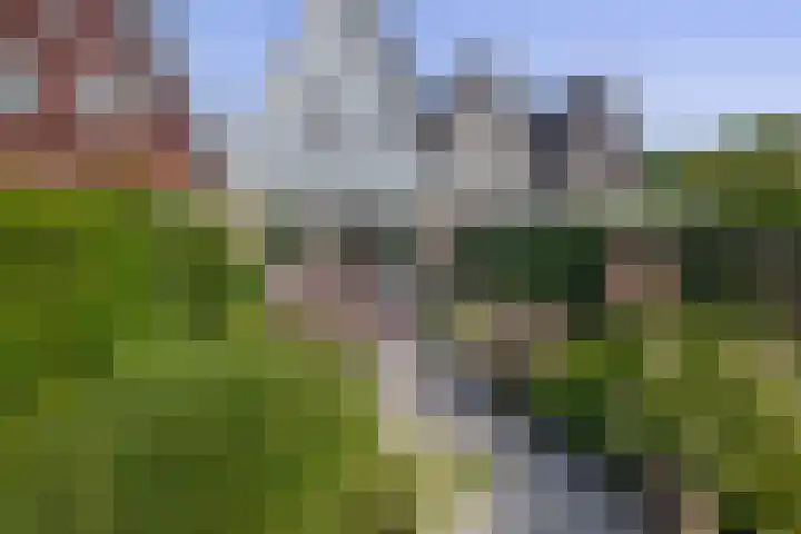 Erasmustuin 14 Capelle aan den IJssel thumbnail 31