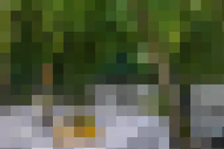 Erasmustuin 14 Capelle aan den IJssel thumbnail 32