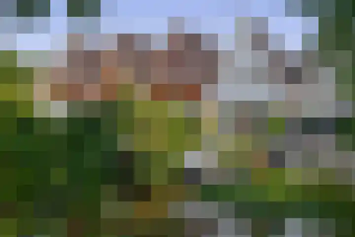 Erasmustuin 14 Capelle aan den IJssel thumbnail 33