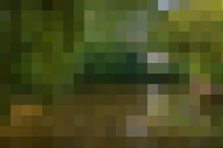 Erasmustuin 14 Capelle aan den IJssel thumbnail 34