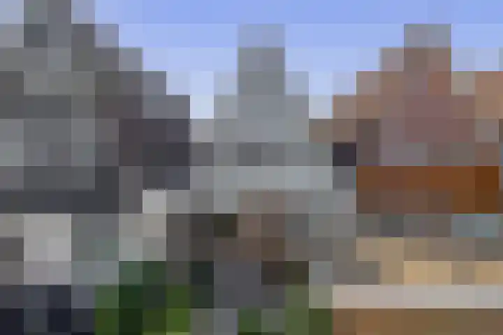 Erasmustuin 14 Capelle aan den IJssel thumbnail 36