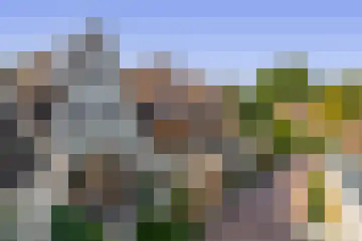 Erasmustuin 14 Capelle aan den IJssel thumbnail 37