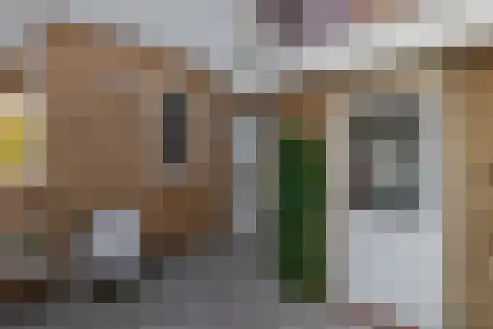 Erasmustuin 14 Capelle aan den IJssel thumbnail 5