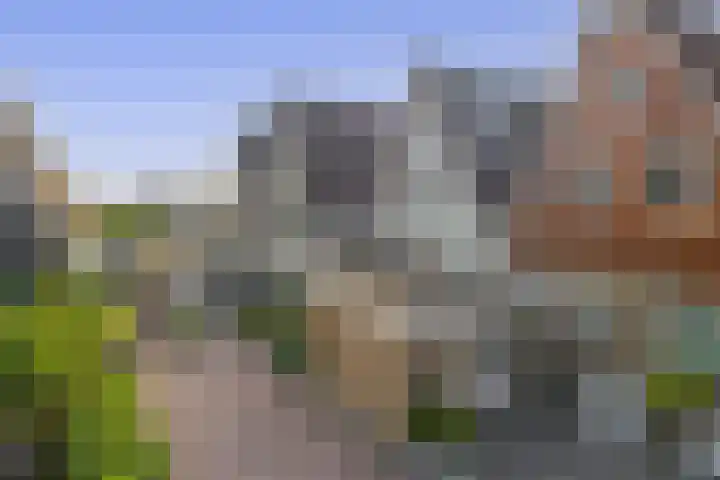 Erasmustuin 14 Capelle aan den IJssel thumbnail 50