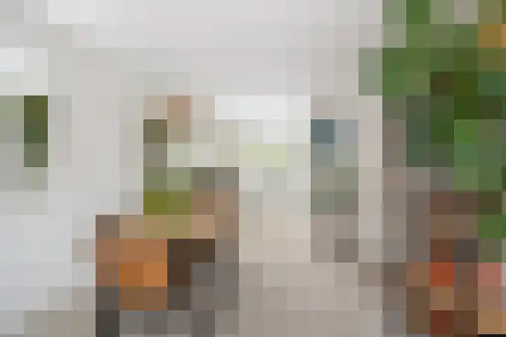 Erasmustuin 22 Capelle aan den IJssel thumbnail 10
