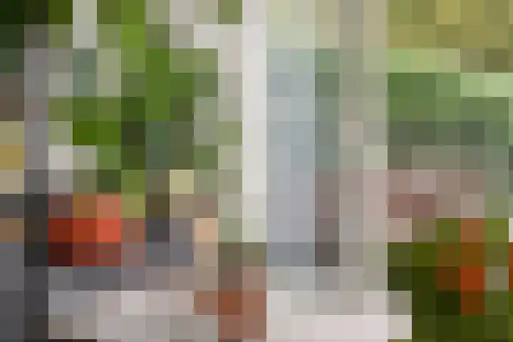 Erasmustuin 22 Capelle aan den IJssel thumbnail 11