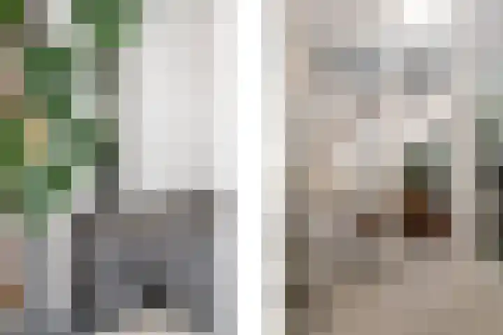 Erasmustuin 22 Capelle aan den IJssel thumbnail 12
