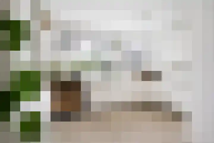Erasmustuin 22 Capelle aan den IJssel thumbnail 13