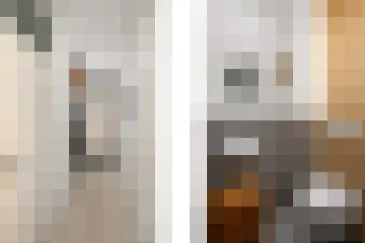 Erasmustuin 22 Capelle aan den IJssel thumbnail 16