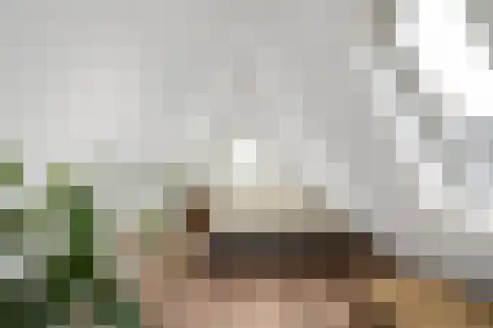 Erasmustuin 22 Capelle aan den IJssel thumbnail 17