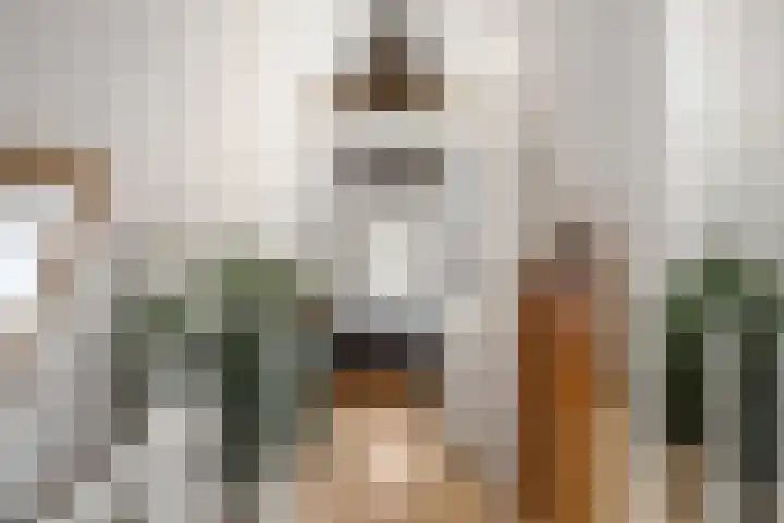 Erasmustuin 22 Capelle aan den IJssel thumbnail 19