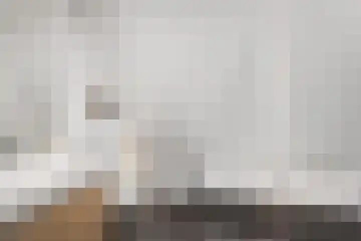 Erasmustuin 22 Capelle aan den IJssel thumbnail 25