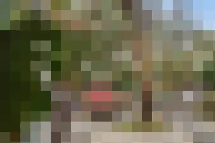 Erasmustuin 22 Capelle aan den IJssel thumbnail 28