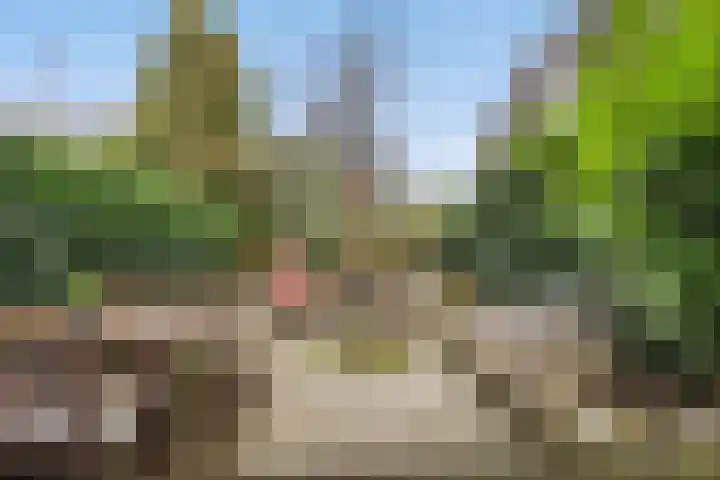 Erasmustuin 22 Capelle aan den IJssel thumbnail 29