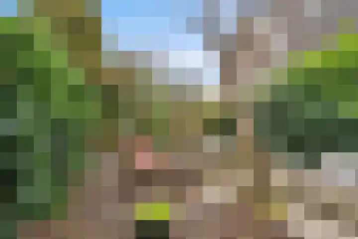 Erasmustuin 22 Capelle aan den IJssel thumbnail 30