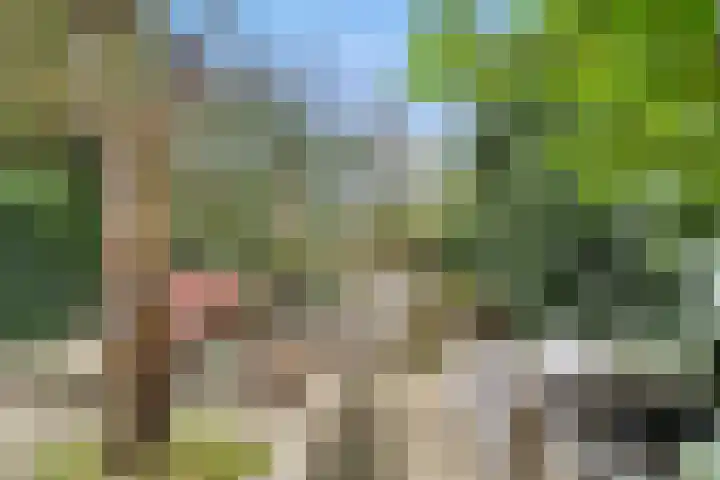 Erasmustuin 22 Capelle aan den IJssel thumbnail 31