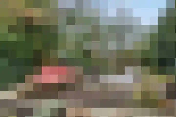 Erasmustuin 22 Capelle aan den IJssel thumbnail 32