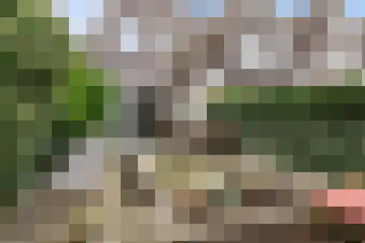 Erasmustuin 22 Capelle aan den IJssel thumbnail 33