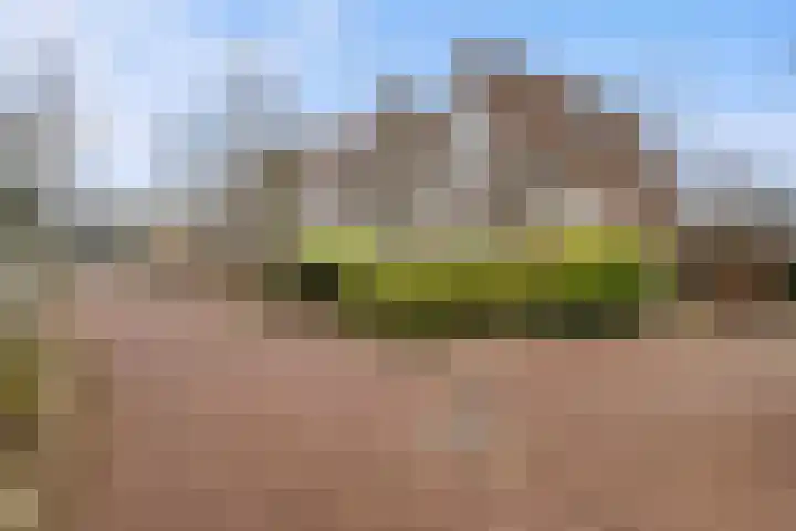 Erasmustuin 22 Capelle aan den IJssel thumbnail 34