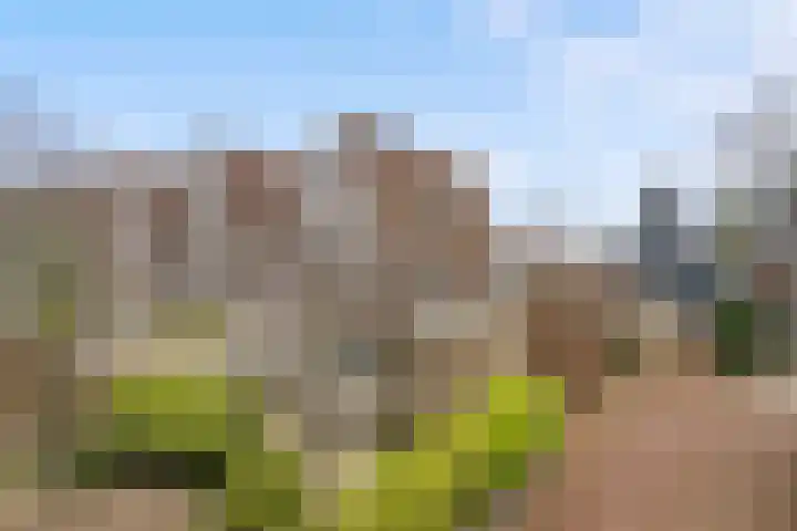 Erasmustuin 22 Capelle aan den IJssel thumbnail 35