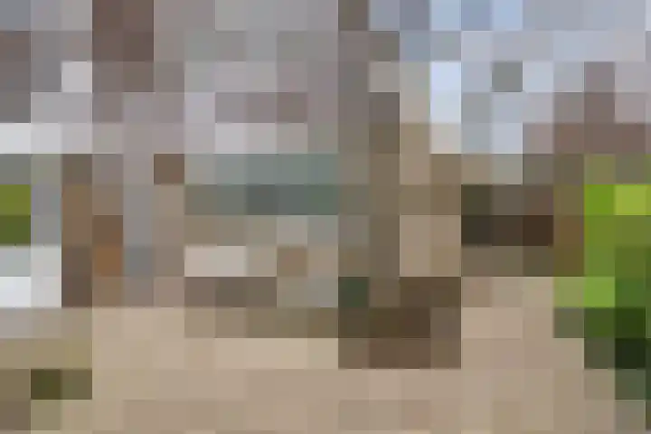 Erasmustuin 22 Capelle aan den IJssel thumbnail 36