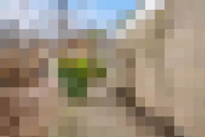 Erasmustuin 22 Capelle aan den IJssel thumbnail 37