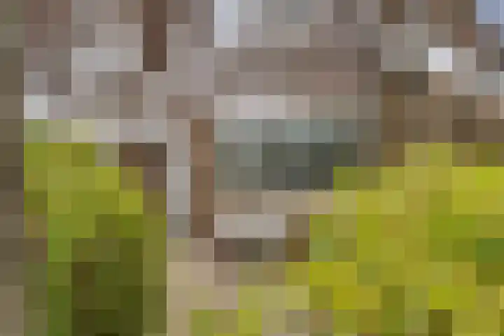 Erasmustuin 22 Capelle aan den IJssel thumbnail 4