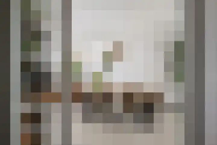 Erasmustuin 22 Capelle aan den IJssel thumbnail 5