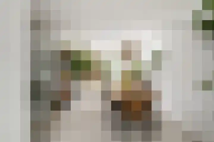 Erasmustuin 22 Capelle aan den IJssel thumbnail 6