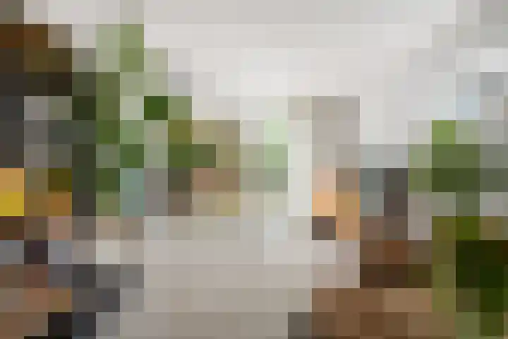 Erasmustuin 22 Capelle aan den IJssel thumbnail 7