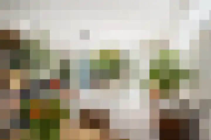 Erasmustuin 22 Capelle aan den IJssel thumbnail 8