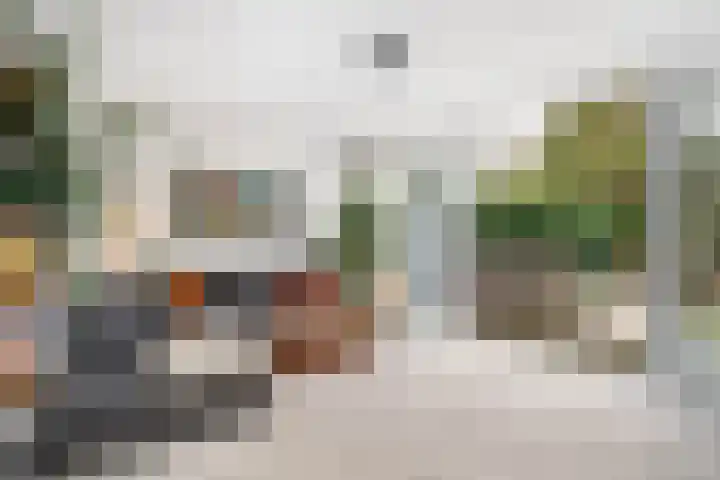Erasmustuin 22 Capelle aan den IJssel thumbnail 9