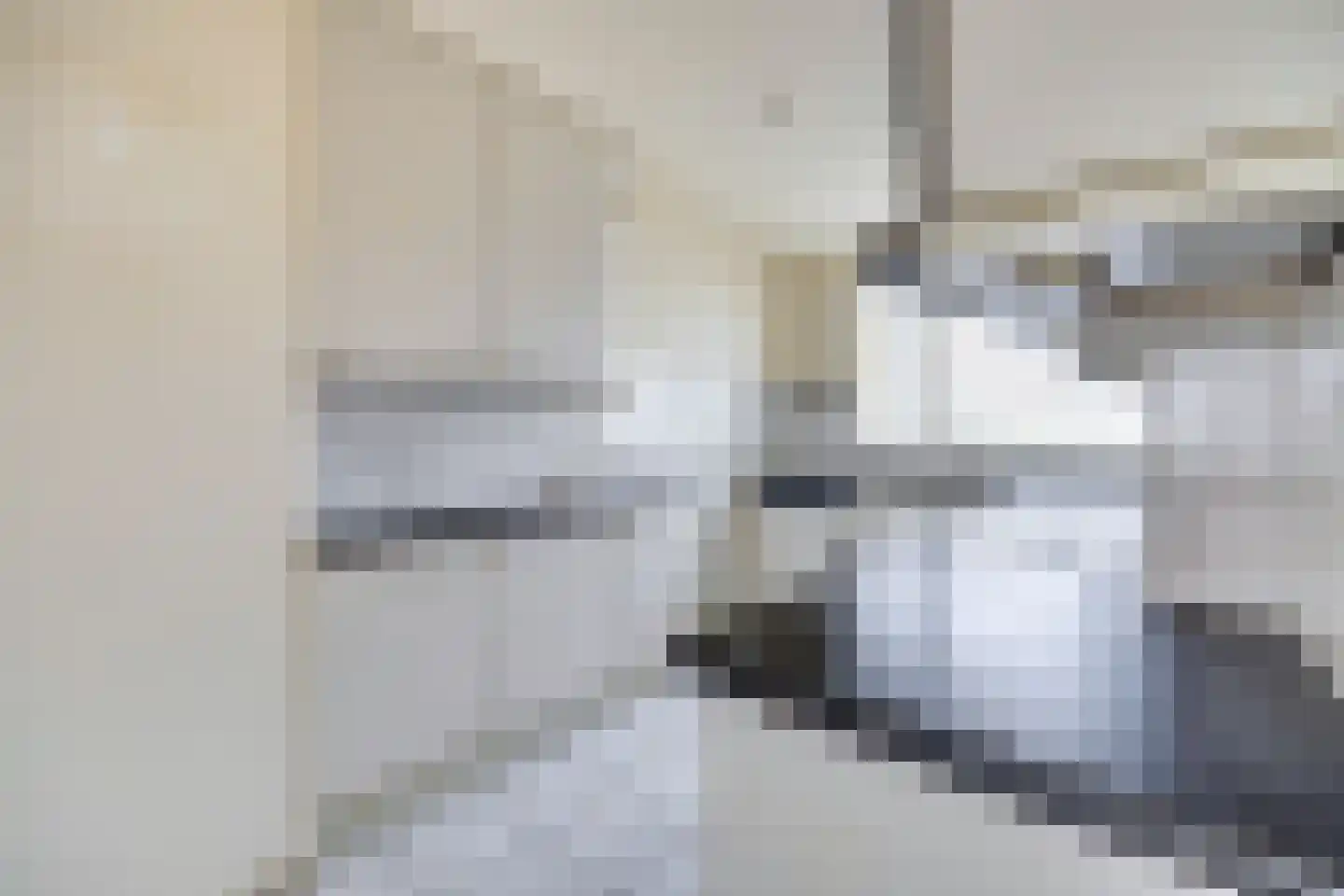 Erasmustuin 9 Capelle aan den IJssel thumbnail 10