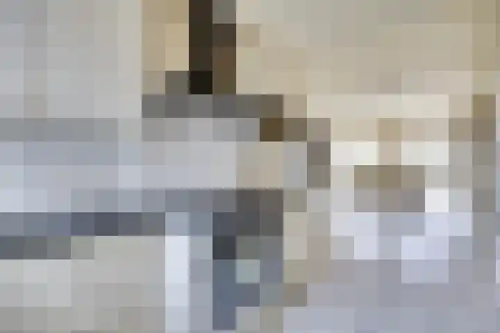 Erasmustuin 9 Capelle aan den IJssel thumbnail 12