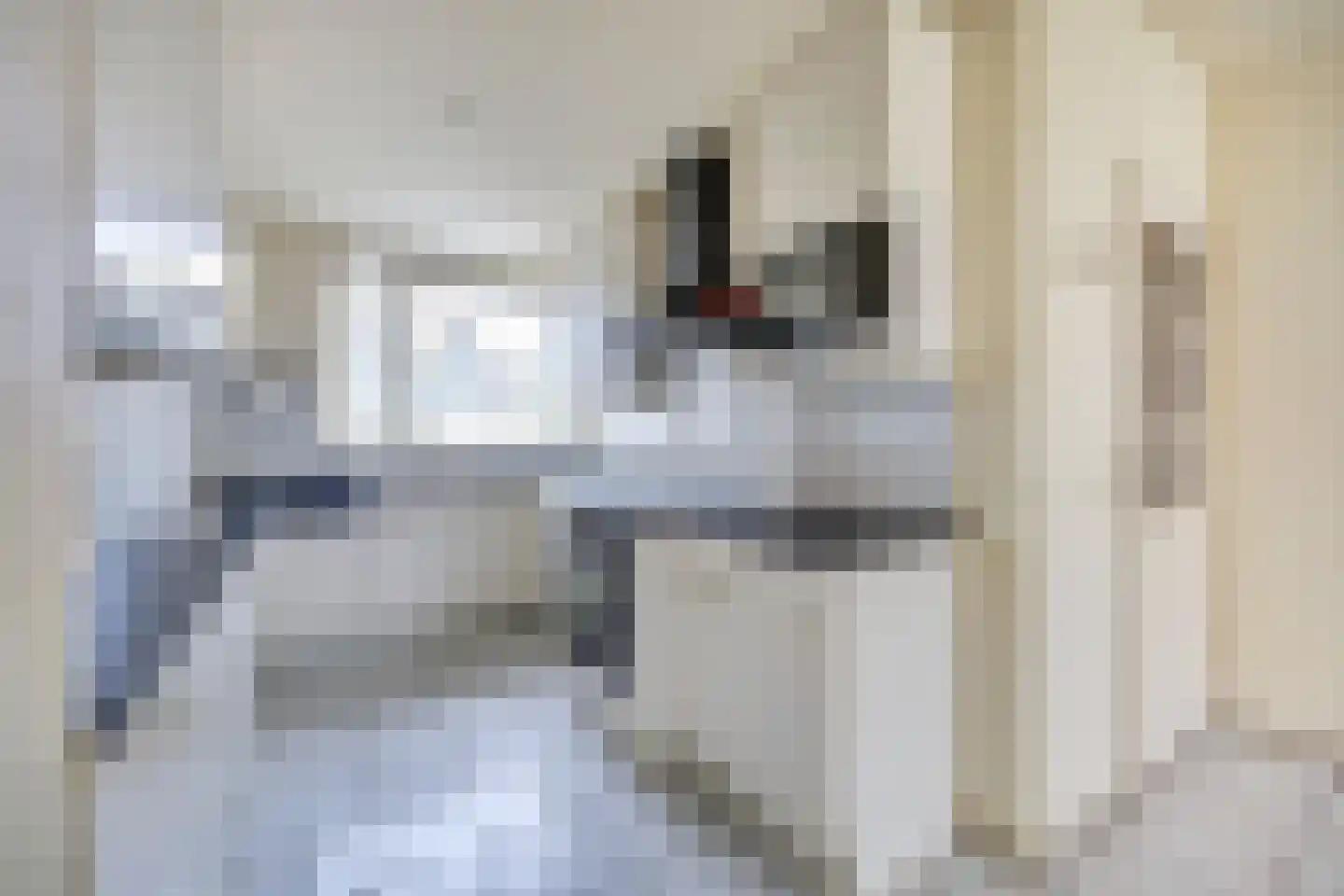 Erasmustuin 9 Capelle aan den IJssel thumbnail 13