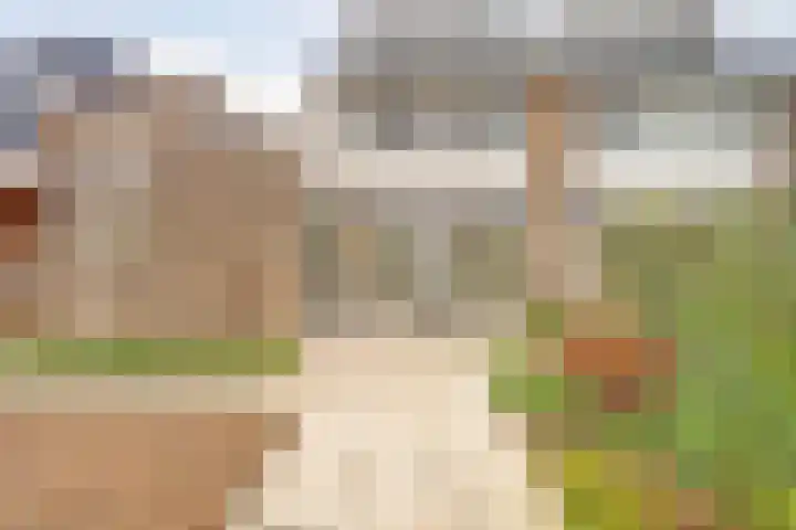 Erasmustuin 9 Capelle aan den IJssel thumbnail 14