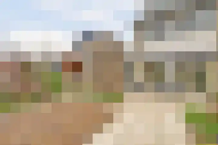 Erasmustuin 9 Capelle aan den IJssel thumbnail 15