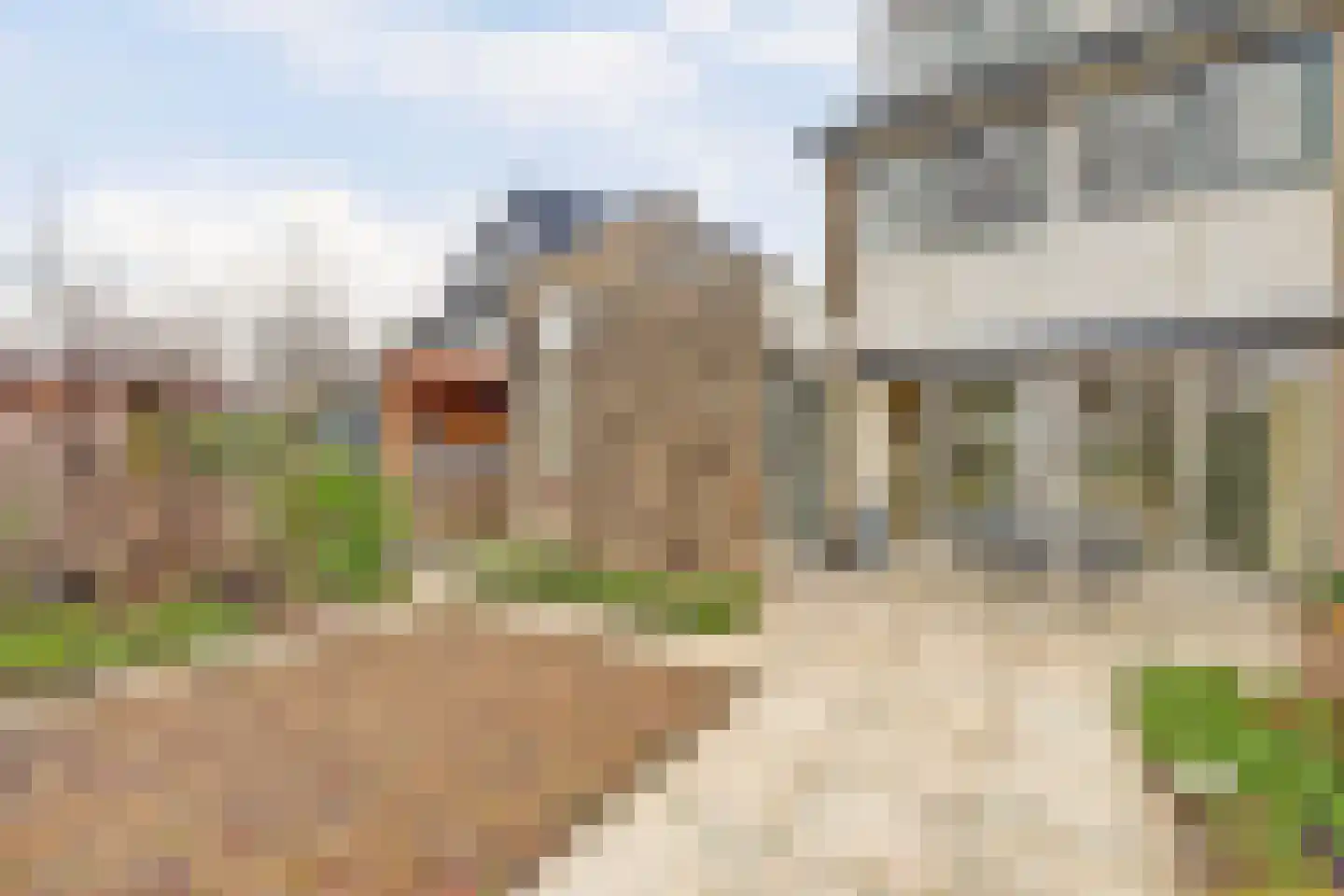 Erasmustuin 9 Capelle aan den IJssel thumbnail 15