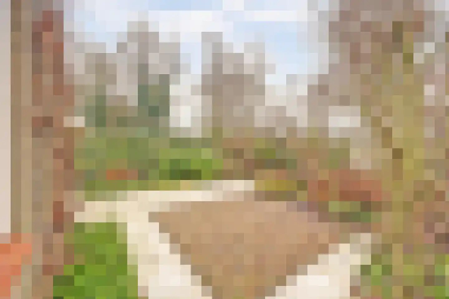 Erasmustuin 9 Capelle aan den IJssel thumbnail 16