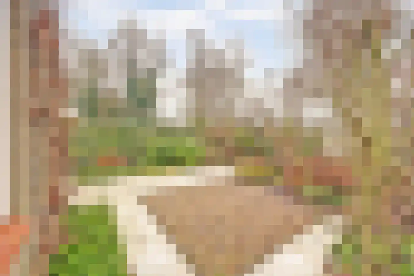 Erasmustuin 9 Capelle aan den IJssel thumbnail 16