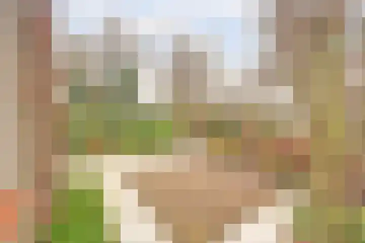 Erasmustuin 9 Capelle aan den IJssel thumbnail 16