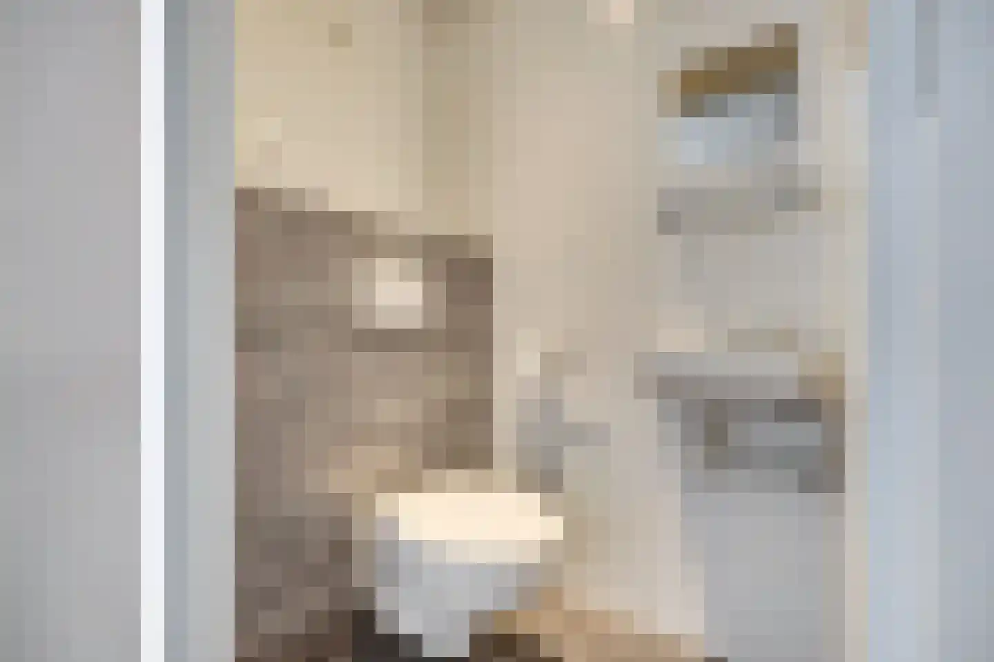 Erasmustuin 9 Capelle aan den IJssel thumbnail 18