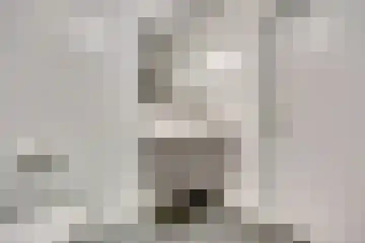 Erasmustuin 9 Capelle aan den IJssel thumbnail 22