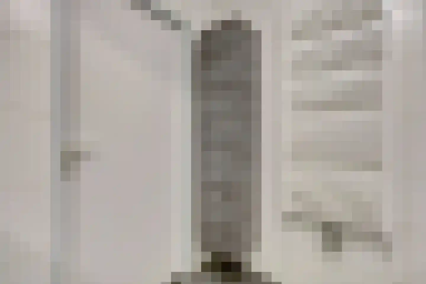 Erasmustuin 9 Capelle aan den IJssel thumbnail 25