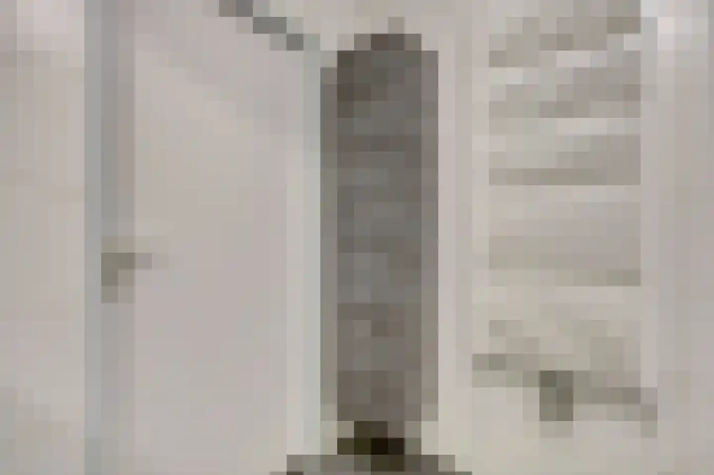 Erasmustuin 9 Capelle aan den IJssel thumbnail 25