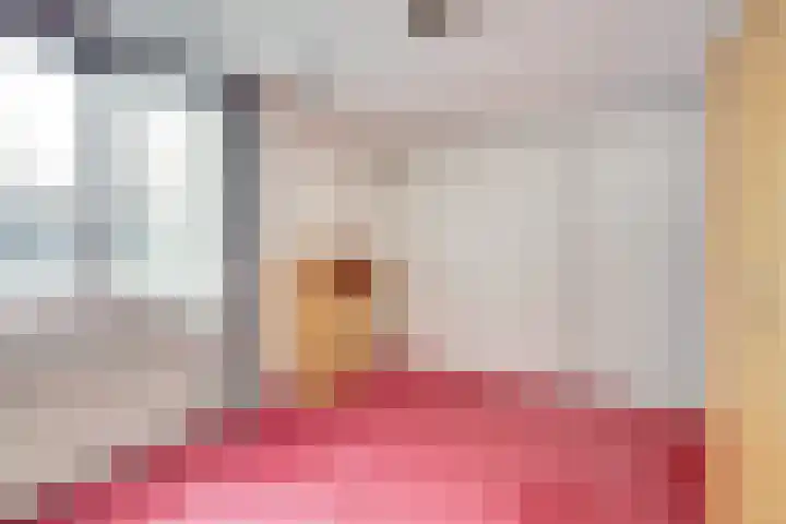 Erasmustuin 9 Capelle aan den IJssel thumbnail 26